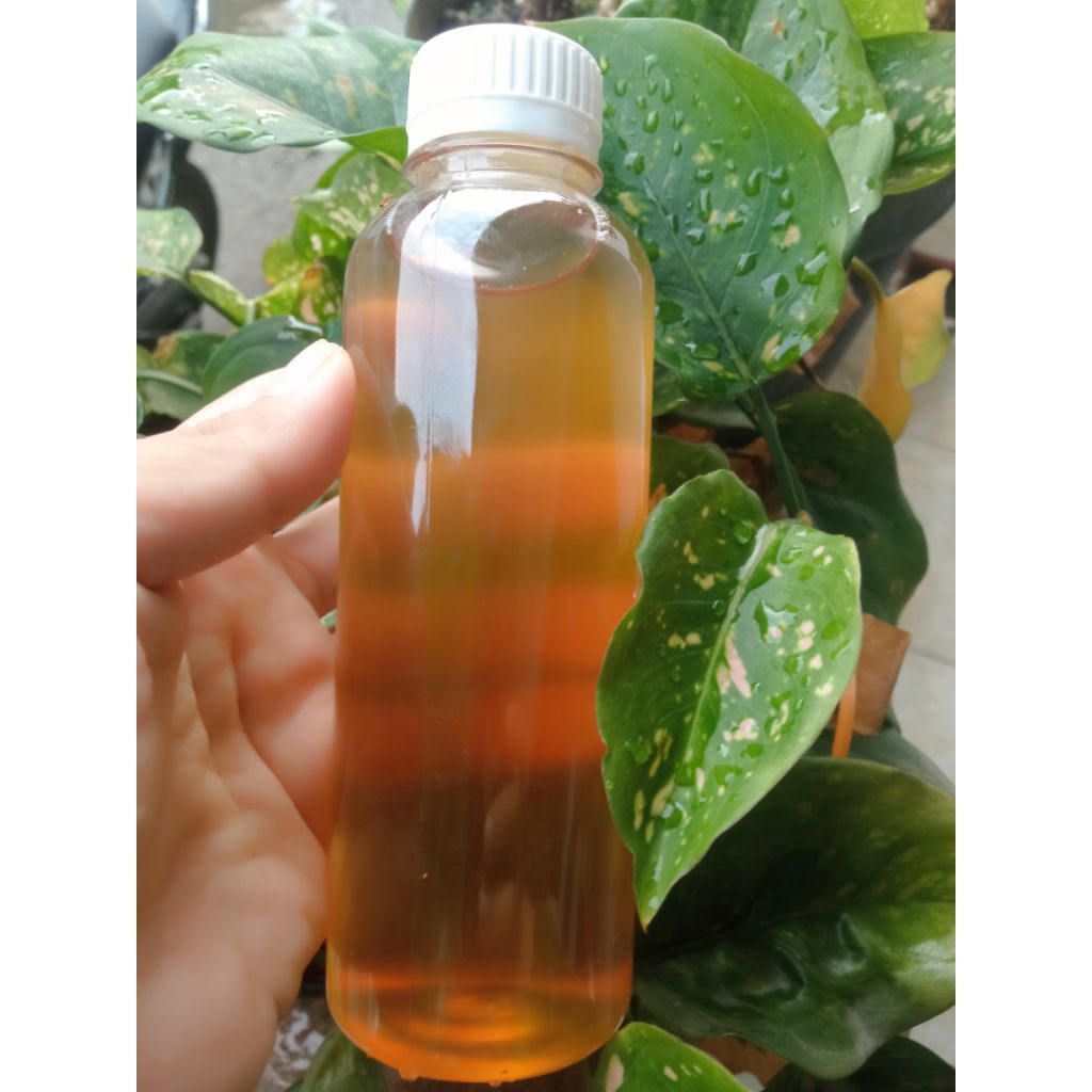 

Kombucha fresh 250ml kombucha original