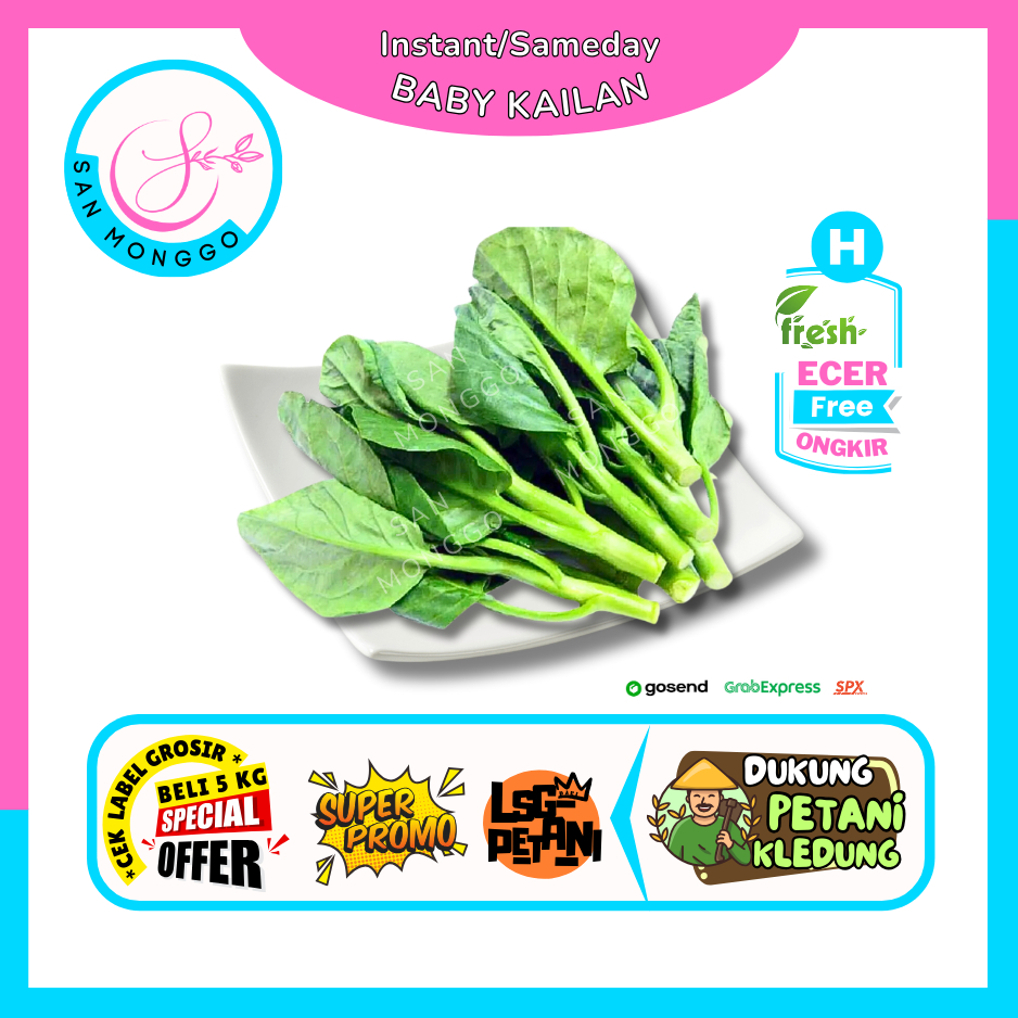 

Sanmonggoo >> Baby Kaylan / Baby kailan -- Hasil Bumi Sindoro Sumbing Ecer (H)