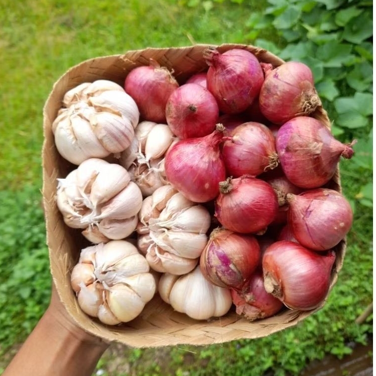 

1000gr Paket hemat bamer 750gr + baput 250gr