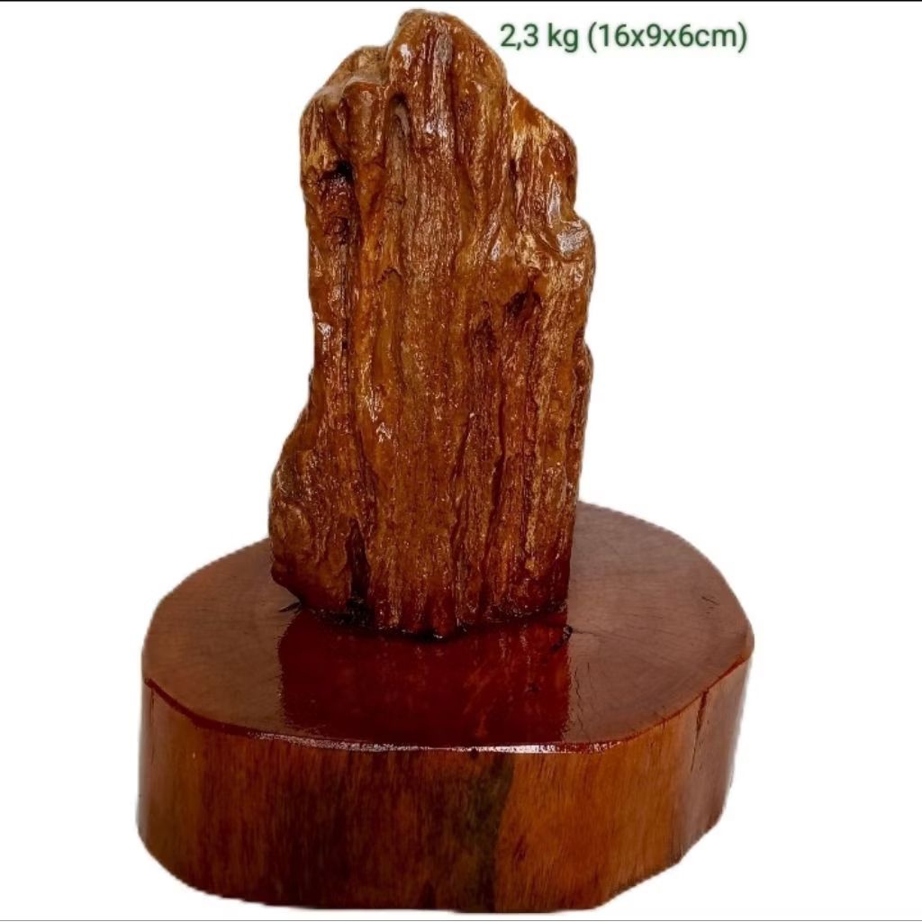 batu hias suiseki fosil kayu Cendana (130)