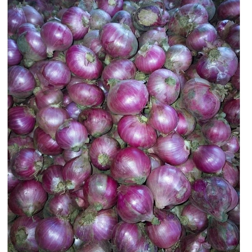 

BAWANG MERAH SEGAR KERING 1KG TIDAK MUDAH BUSUK