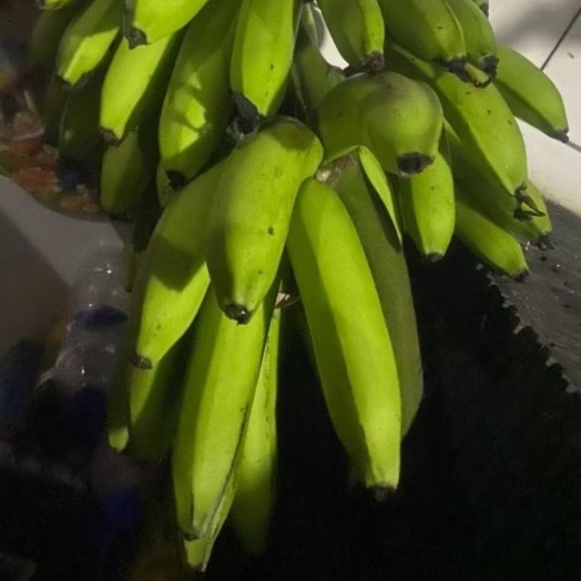 

Buah Pisang Mentah FLT KG PR Pisang Bangkaulu