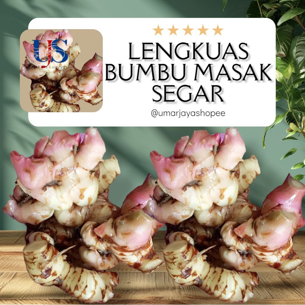 

LENGKUAS BUMBU MASAK SEGAR