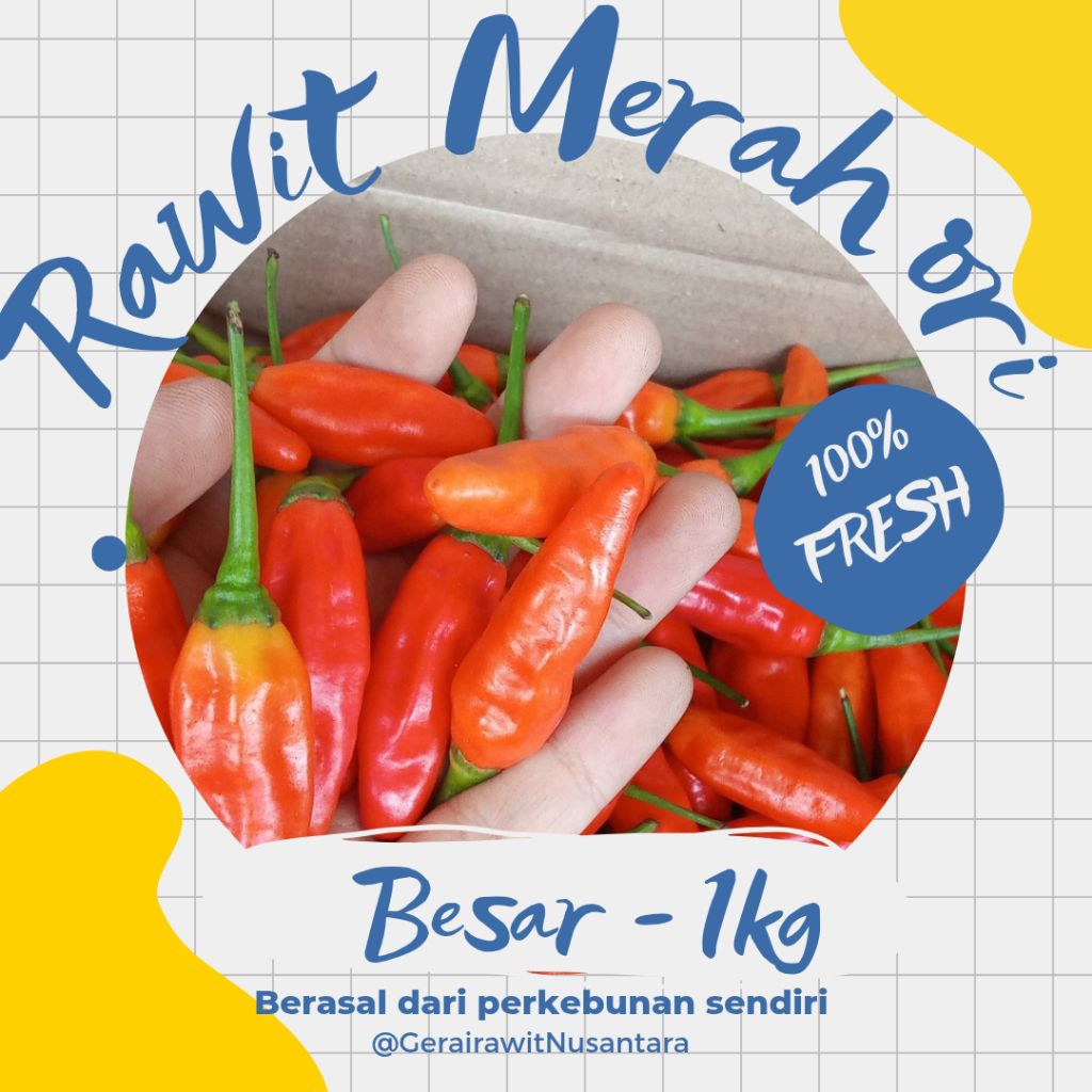 

Gerai Rawit Nusantara| GRADE A| Cabe Rawit Merah ORI - Besar - 1000gr/1Kg |