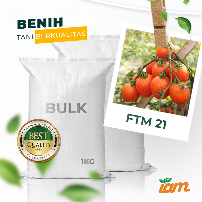 

BULK 1kg – tomat l F1 (FTM 21)