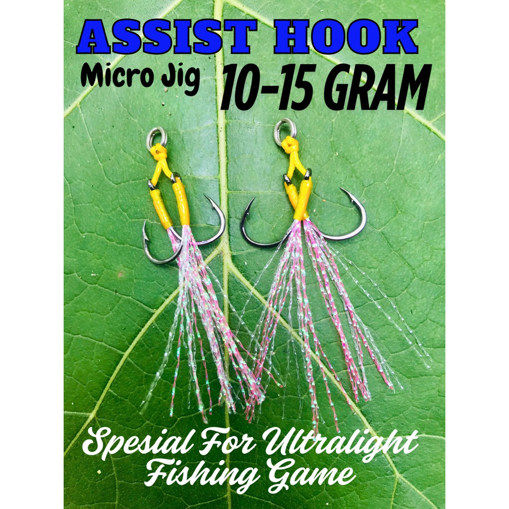 Assist Hook Micro Jig 10-15 Gram Non GID Double Hook Assist Micro Jig