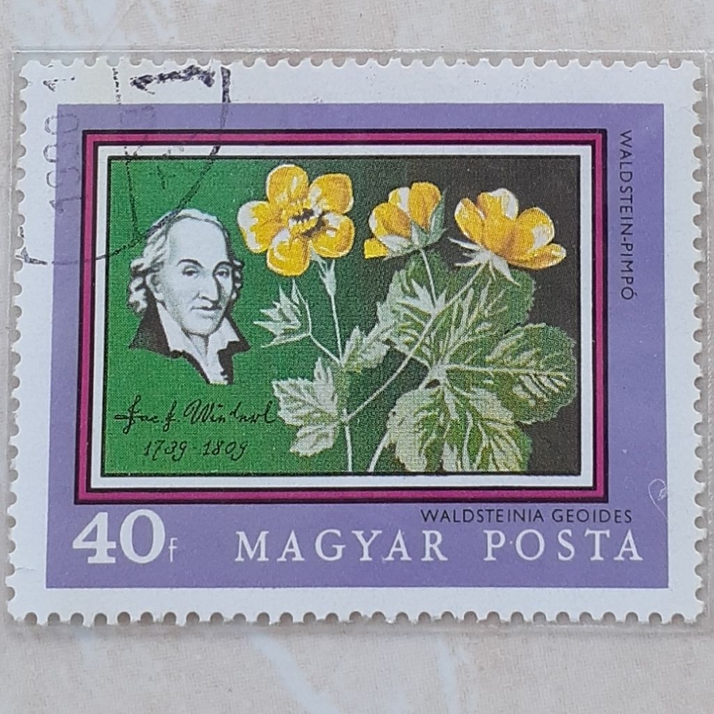 

Perangko Hungaria 200th Anniversary University of Budapest Botanical Garden (Josef Jacob Winterl and Waldsteinia geoides) Tahun 1971