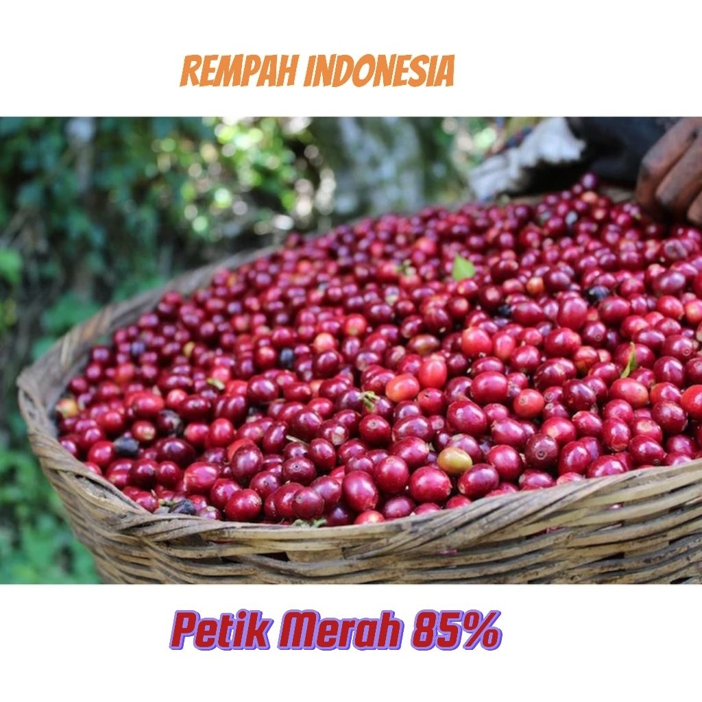 

Green Bean Kopi Robusta 1Kg / Biji Kopi Mentah Asli / Cocok Untuk Roaster & UMKM