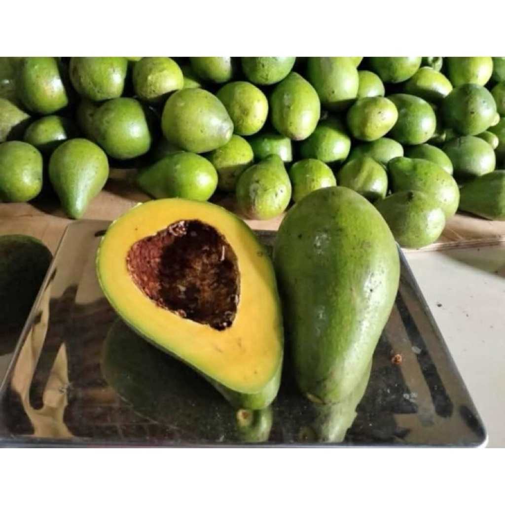 

Alpukat mentega gunung muria super fress 1kg isi 3-4buah