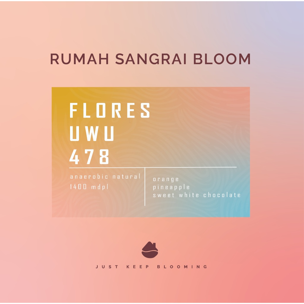 

FLORES UWU 478 | biji kopi filter arabika FLORES