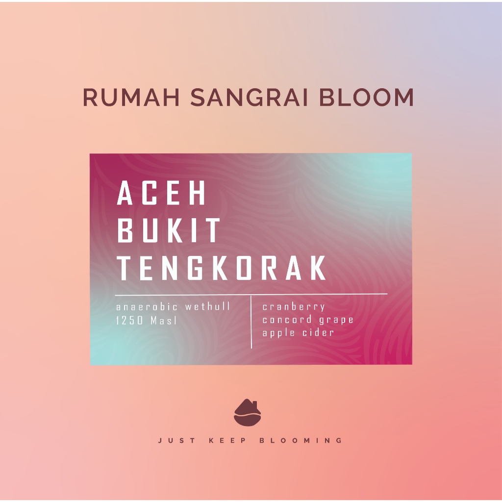 

ACEH BUKIT TENGKORAK | biji kopi filter arabica ACEH