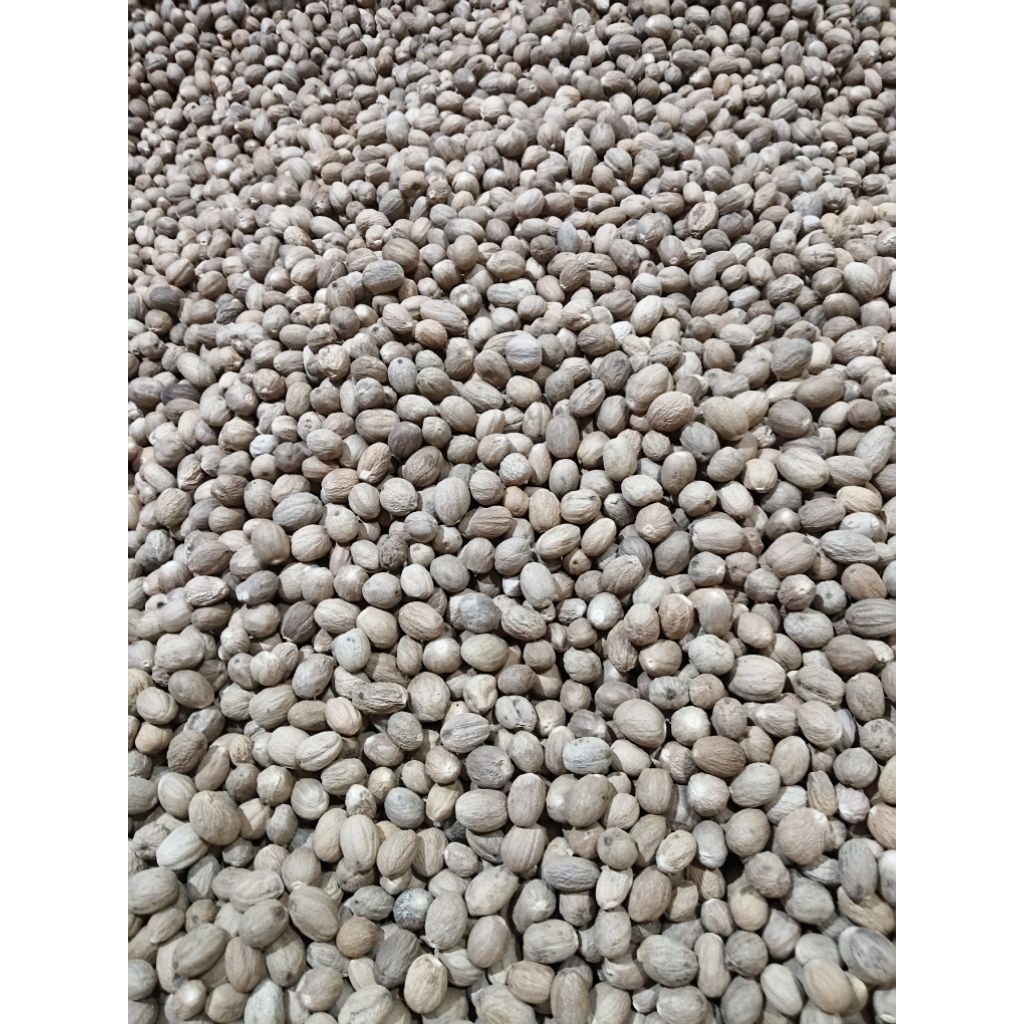 

PALA PREMIUM HARGA MURAH 1 KG