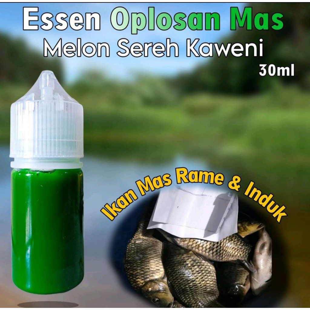 Essen Melon Sereh Kaweni, Essen Ikan Mas Galatama Dan Galapung, Essen Ikan Mas Harian, Essen Ikan Ma