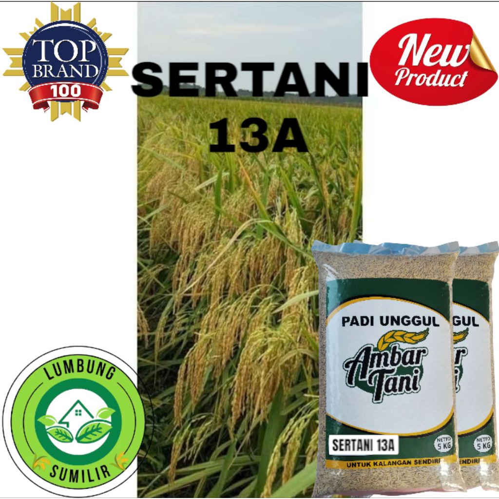 BENIH PADI SERTANI 13A KEMASAN 5KG