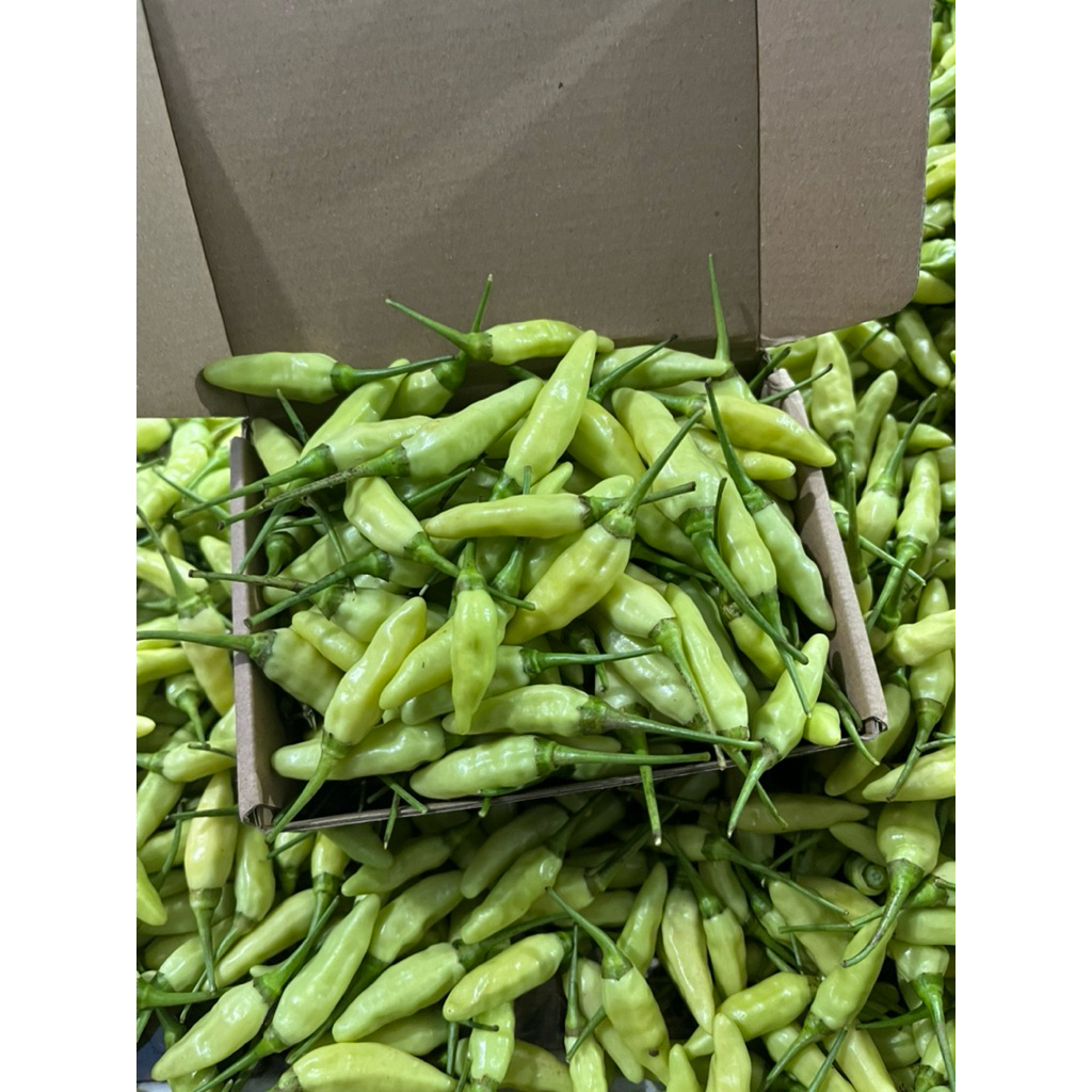 

CABAI RAWIT PUTIH LALAPAN FRESH KG