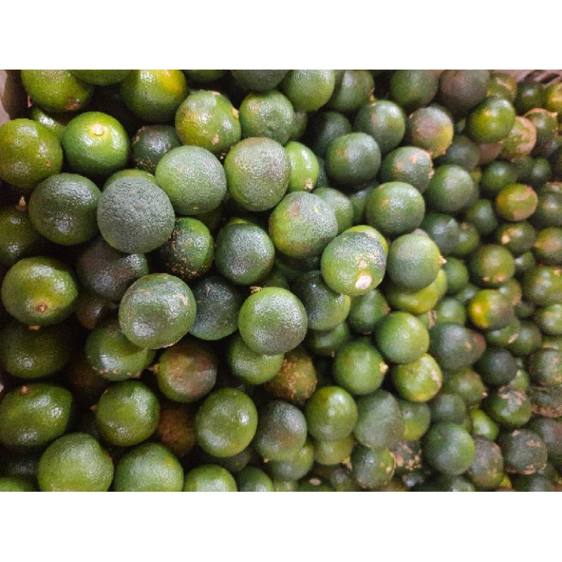 

Jeruk Sonkit / Lemon Cui 500 gram