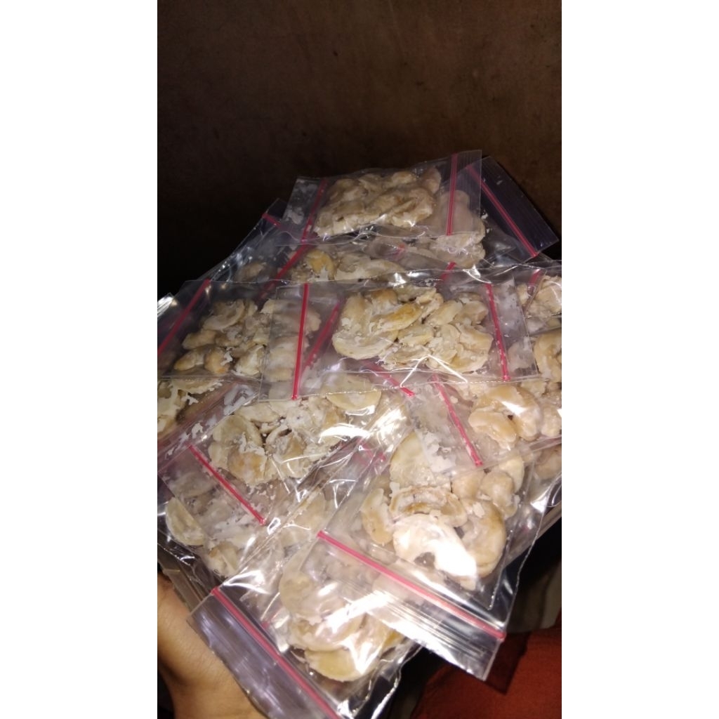 

KACANG MEDE PERMENTASI ISI 25 UNTUK MANCING