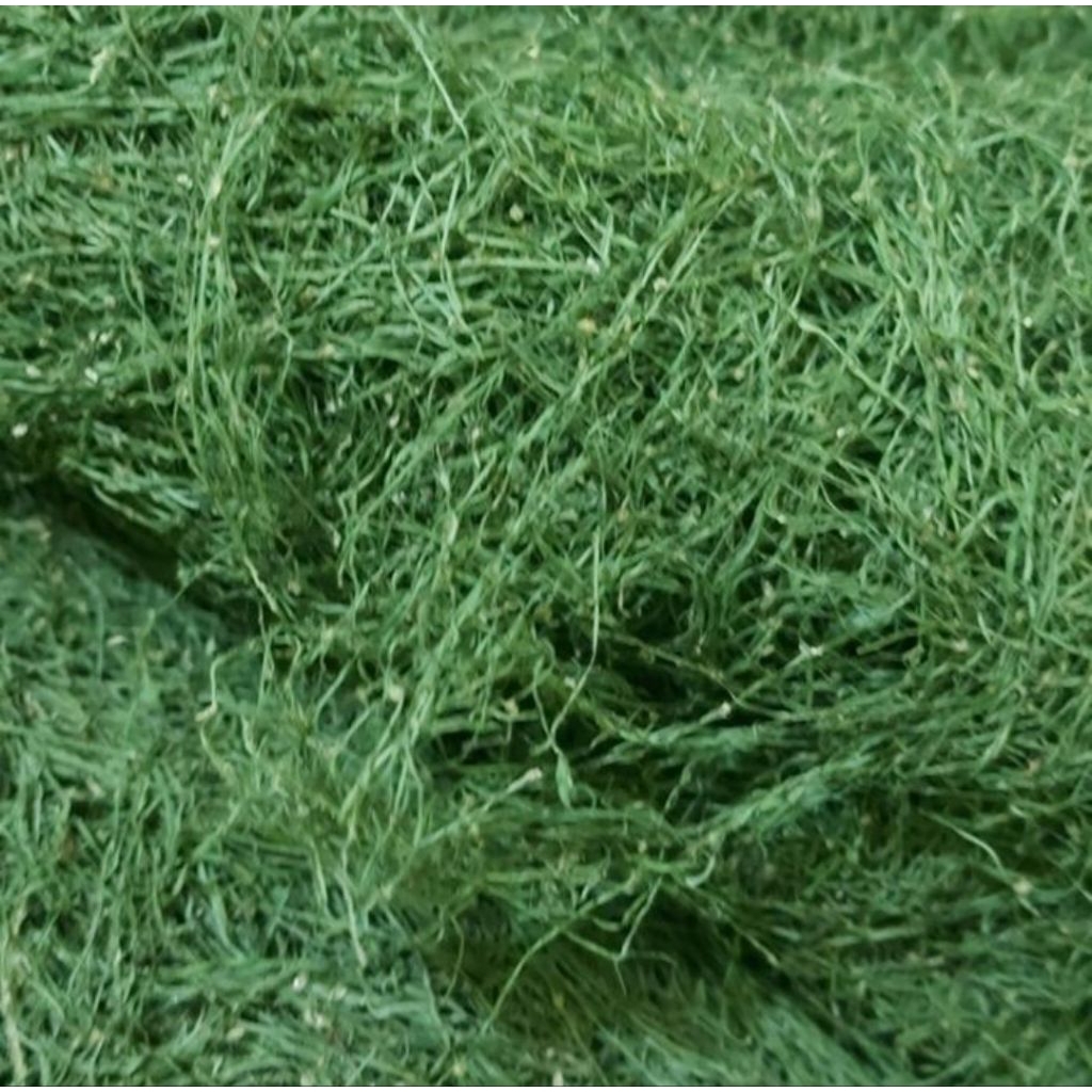 

Daun Talas Hijau iris 50 gram