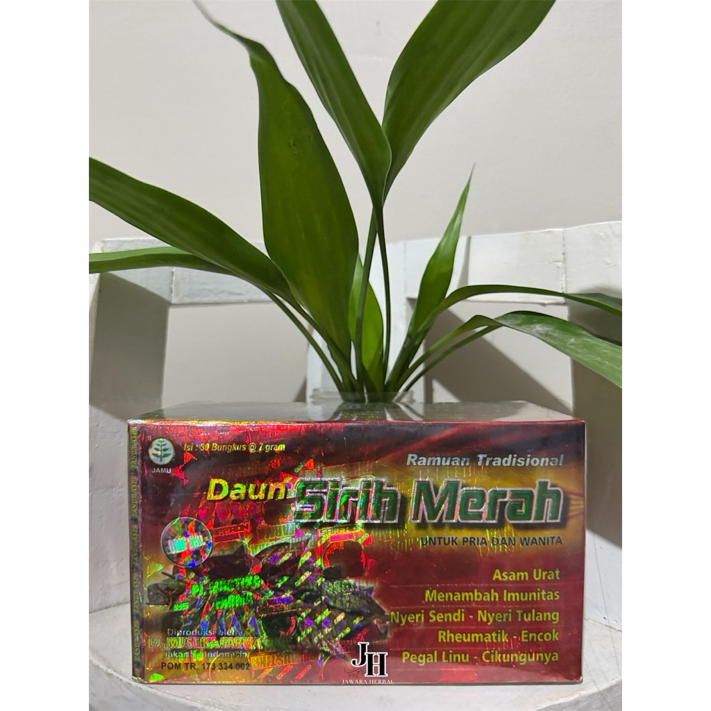 Jamu daun sirih merah original 100%