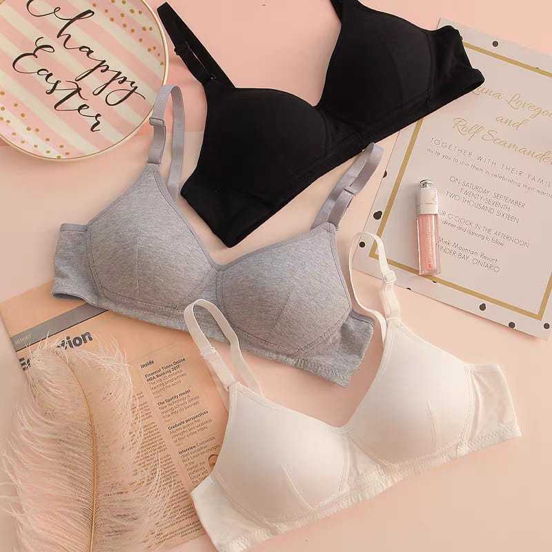 GROSIR BRA WANITA LUSINAN // BRA WANITA 3 PENGAIT // BH WANITA MURAH