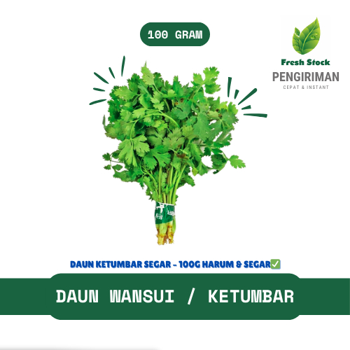 

DAUN WANSUI / KETUMBAR | FreshStock