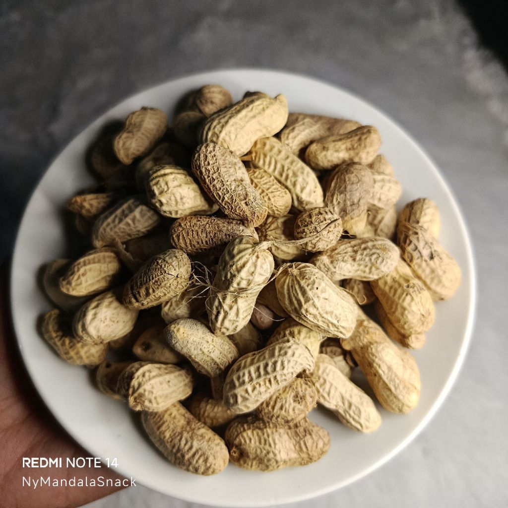 

Kacang Kulit Oven/Snack Kiloan 500Gram (Free Bubble Wrap)