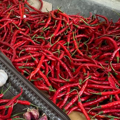 

cabai merah kriting fresh