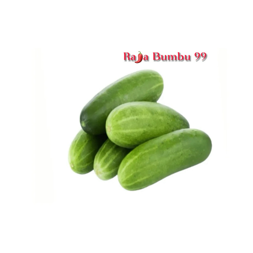 

Timun Lalap Segar – Per 1 Pcs | Cocok untuk Lalapan & Masakan Harian dari RAJA BUMBU 99
