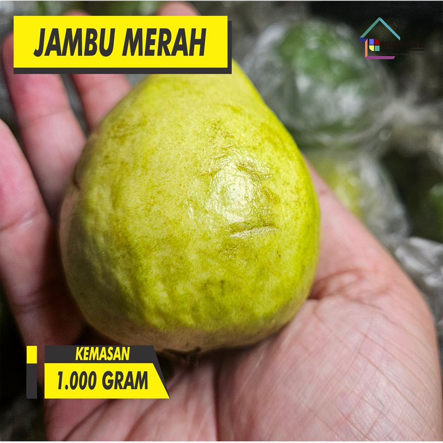 

Jambu Merah Biji berat 1kg ( 1000 gr )