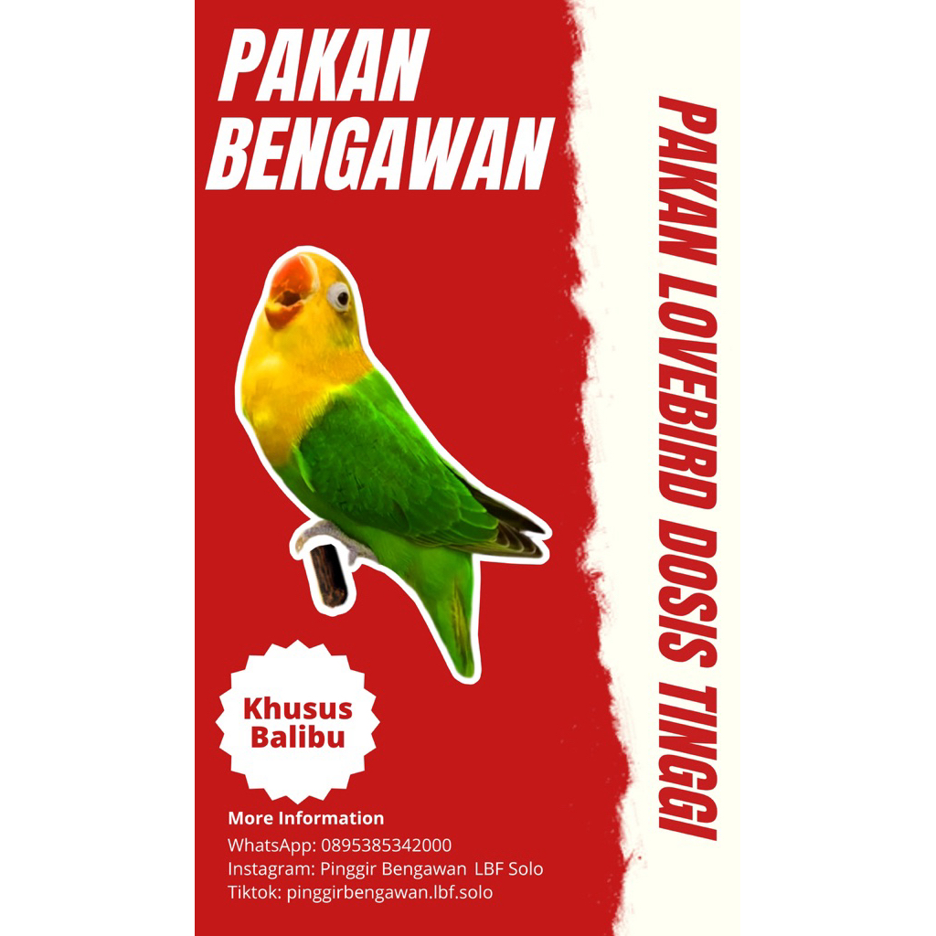 Pakan Bengawan Khusus Balibu