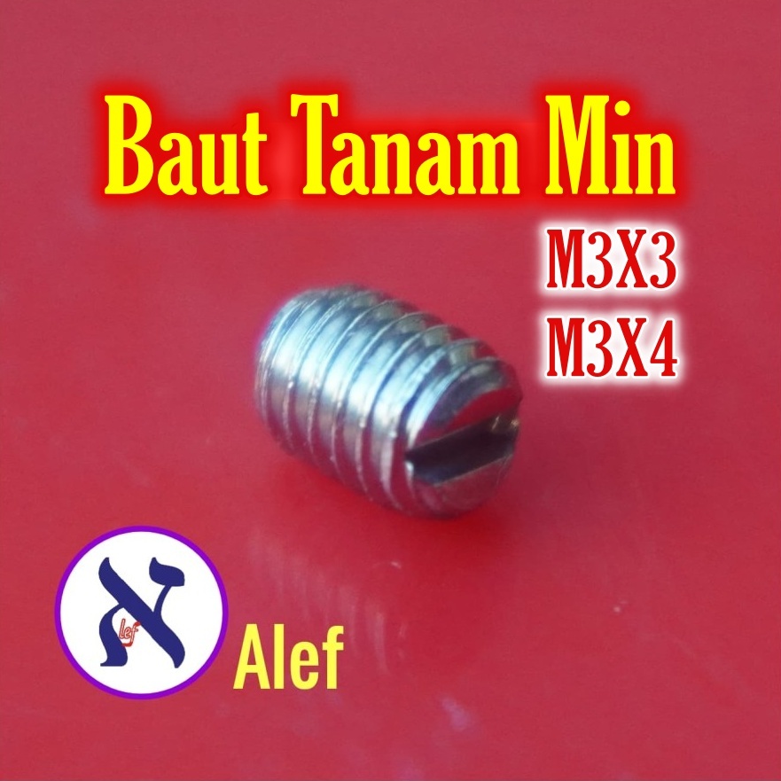 10Pcs Baut Tanam M3 x 3 4 min minus Stenlis 3x3 3x4 mm heat min