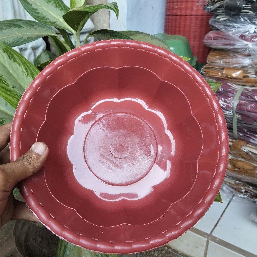 baskom barca#wadah berkat#wadah nasi terlaris 1lusin isi 12