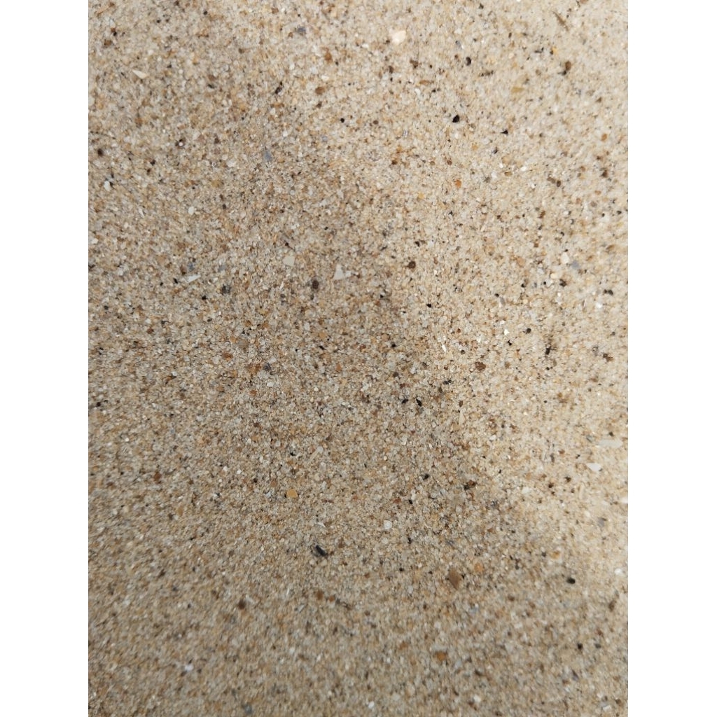 pasir laut halus 5kg / pasir pantai halus asli / pasir mainan anak-anak