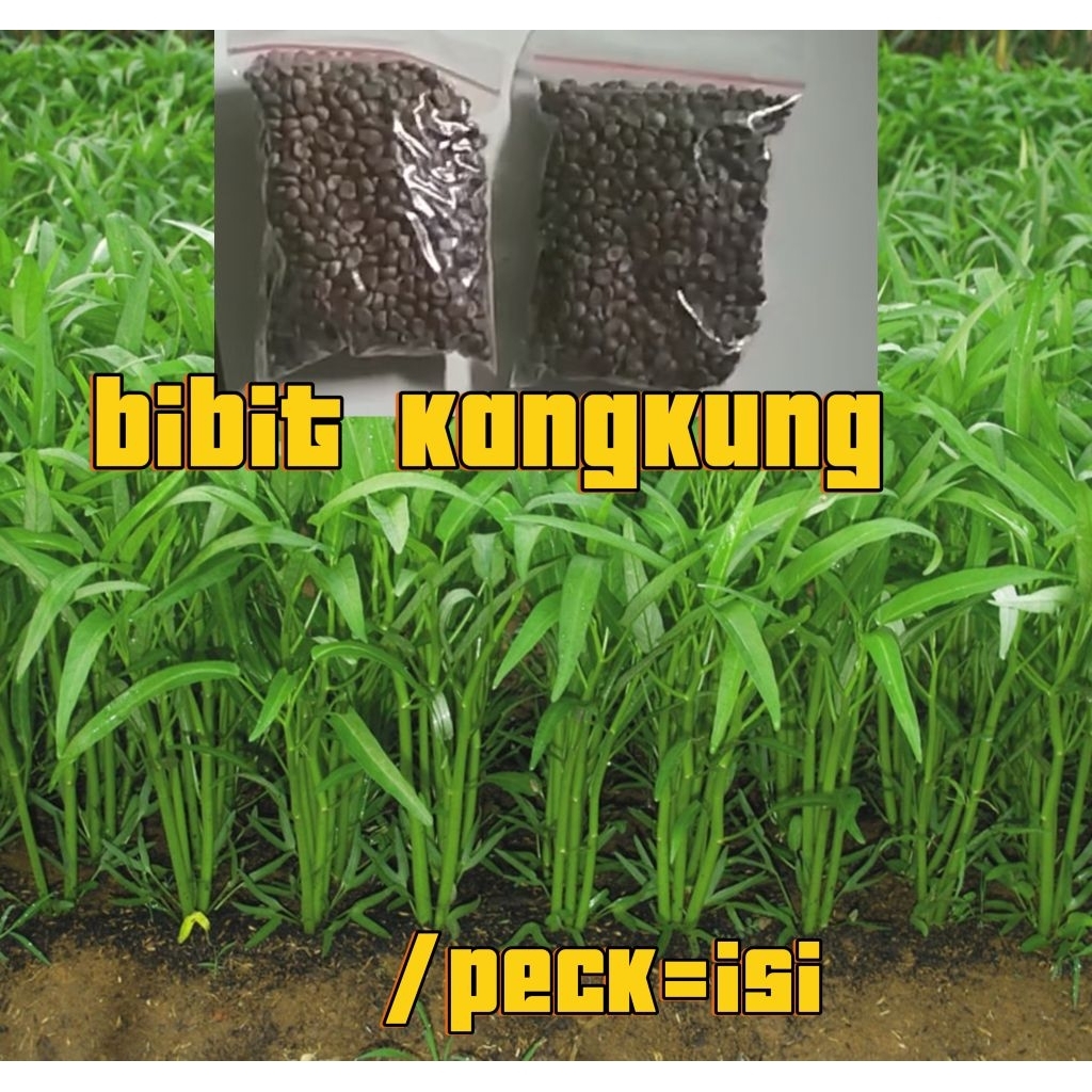 

bibit kangkung/pack berat 50gr