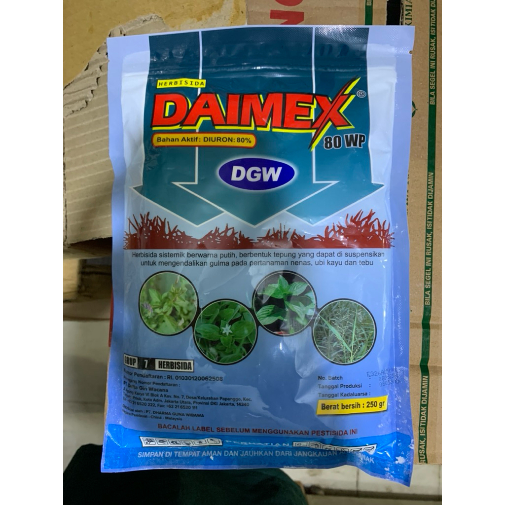 DAIMEX 80wp