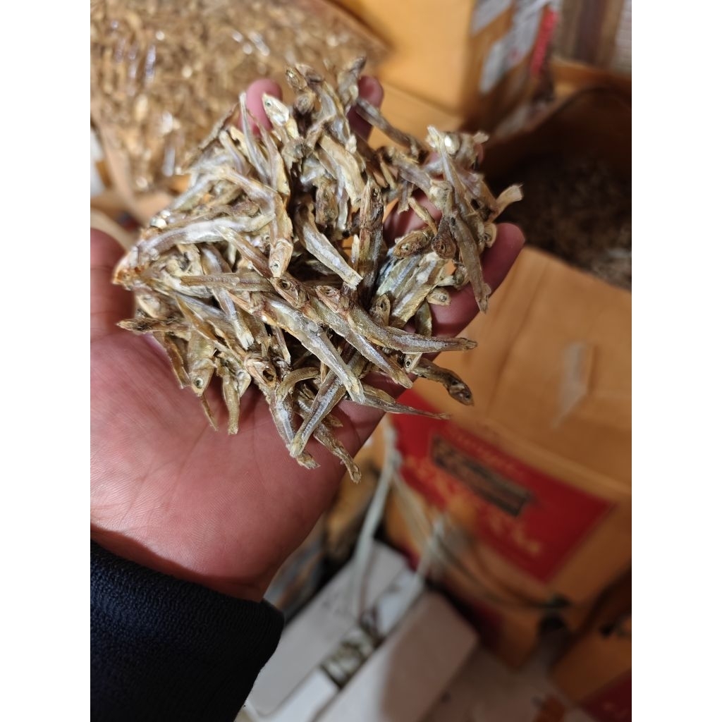 

teri tawar 1 kg
