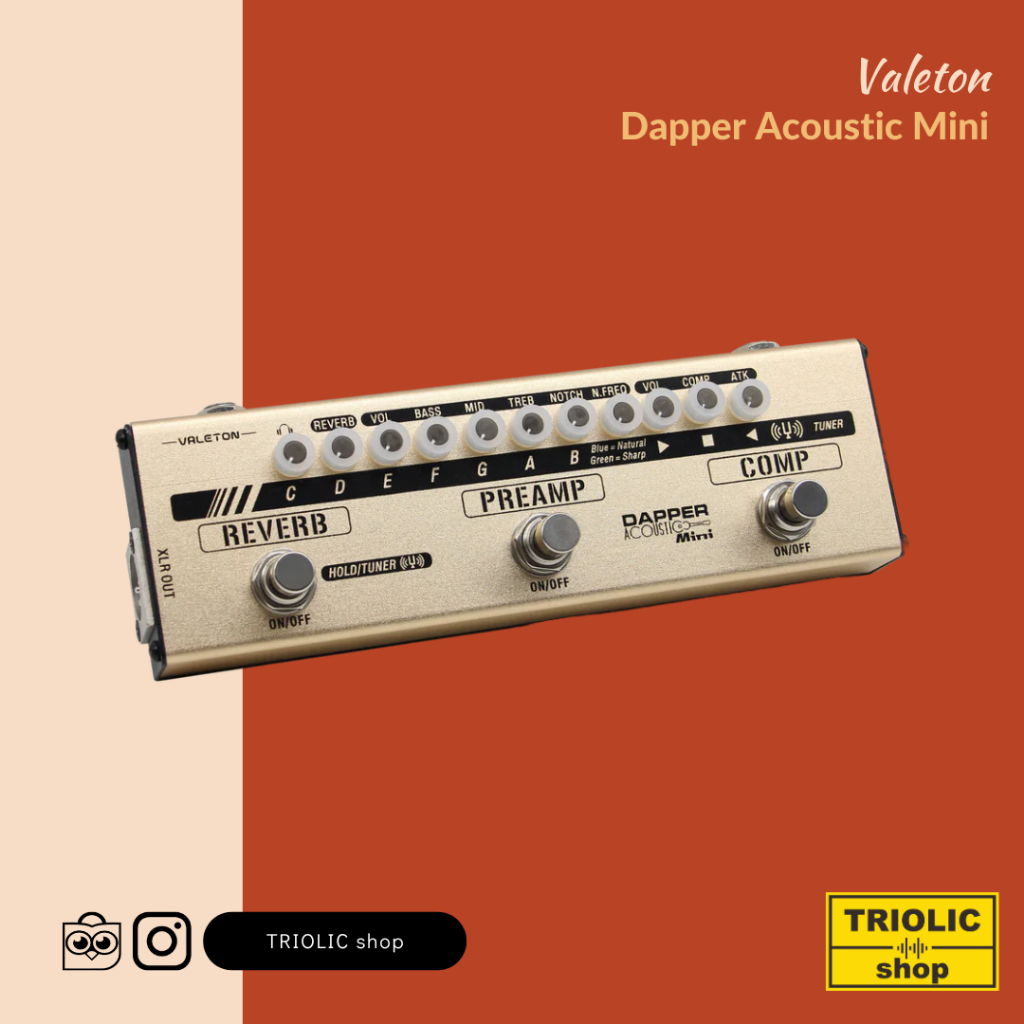 Valeton Dapper Acoustic Mini