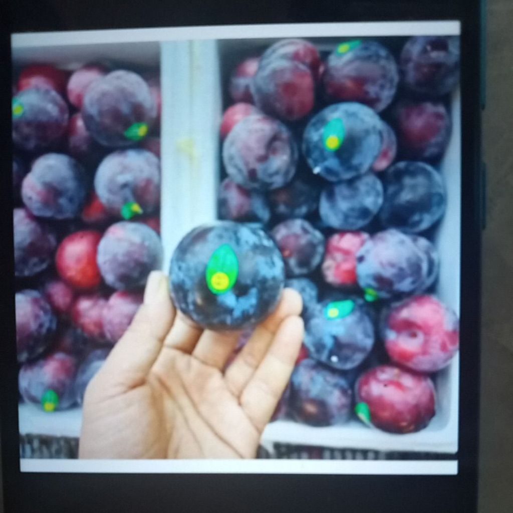 

Plum merah import/Palum red RRC 1kg