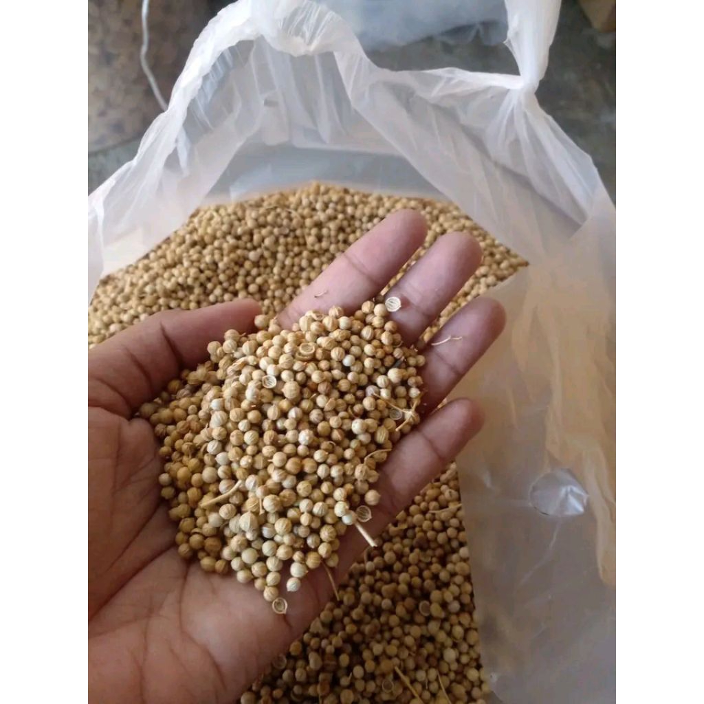 

ketumbar putih organik 250gram
