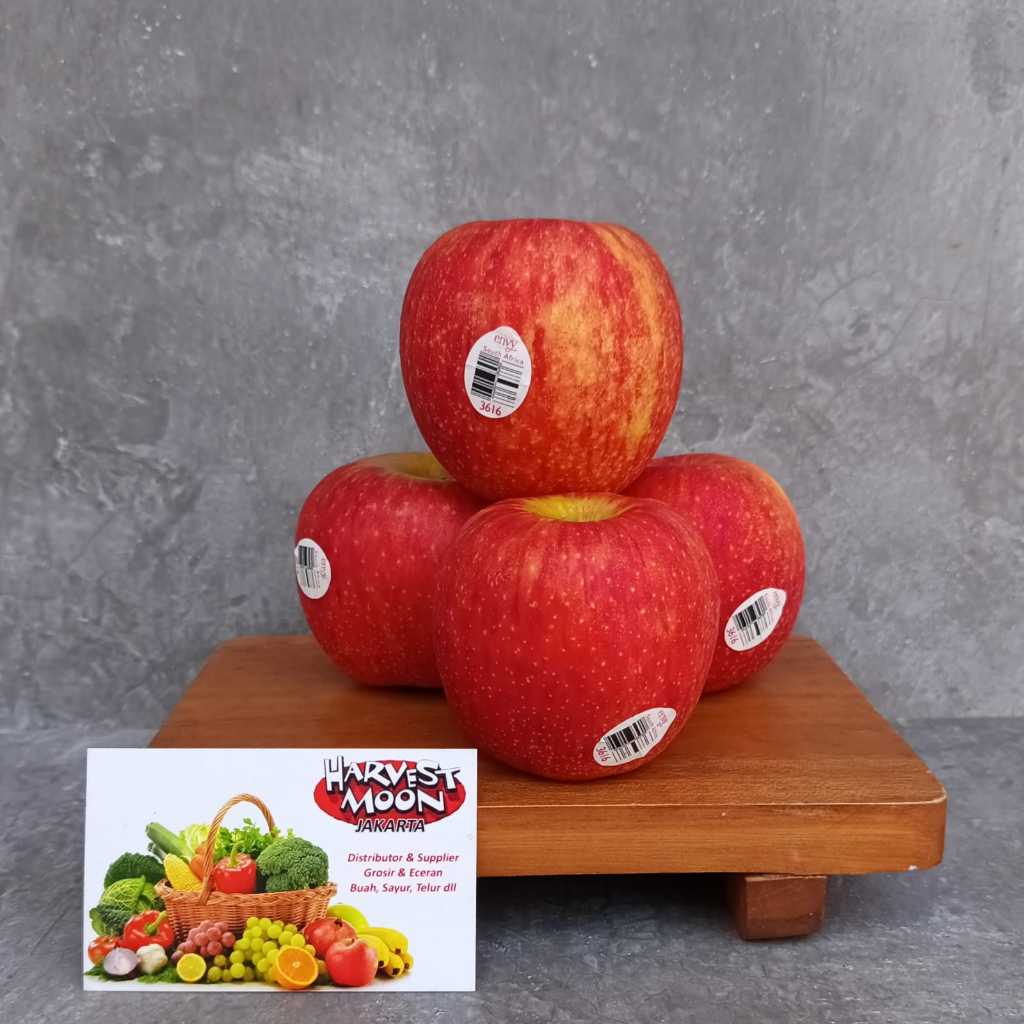 

HarvestMoon Apel Envy HG Per Pcs