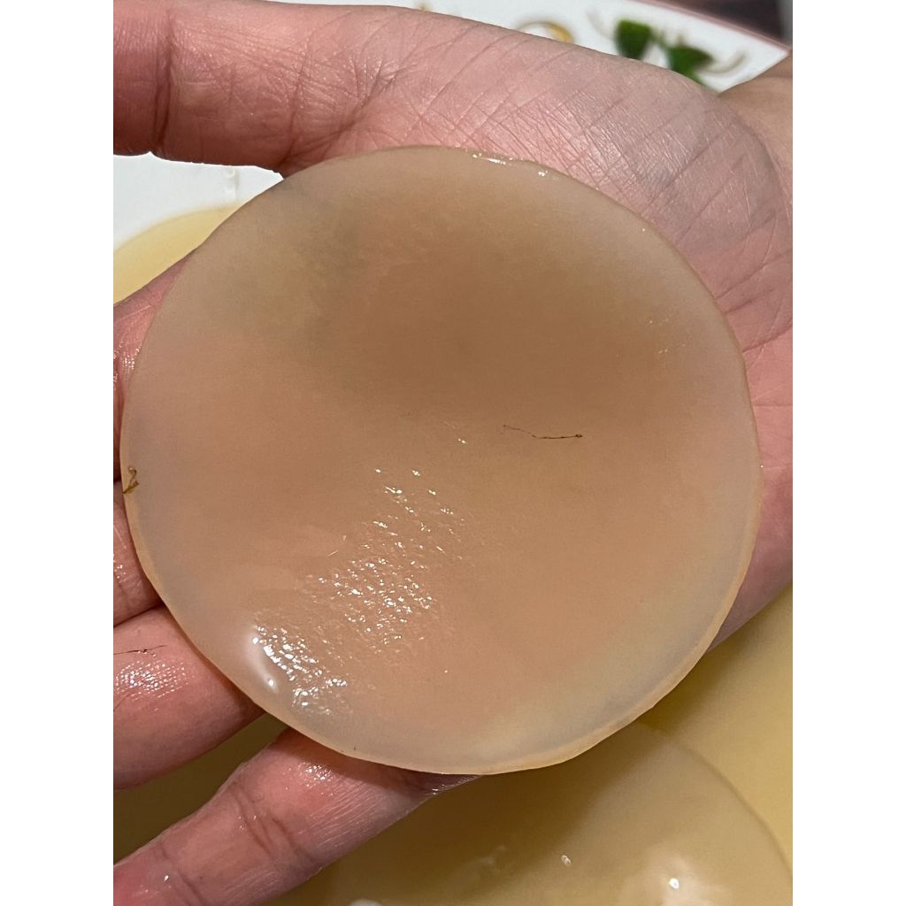 

SCOBY JAMUR KOMBUCHA Diameter 8cm PREMIUM ORGANIK MURAH DENGAN STARTER LENGKAP TERLARIS TERMURAH