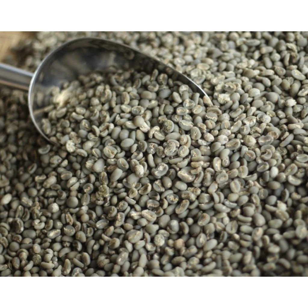 

Kopi Gayo Premium Grean Bean/Biji Mentah Semi Wash 100% Arabika Gayo Aradoor coffee 1kg