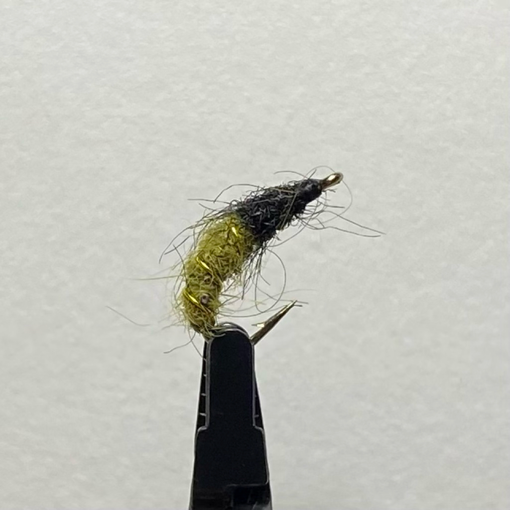Caddis pupa Weightless —— Nymph/ umpan Fly fishing