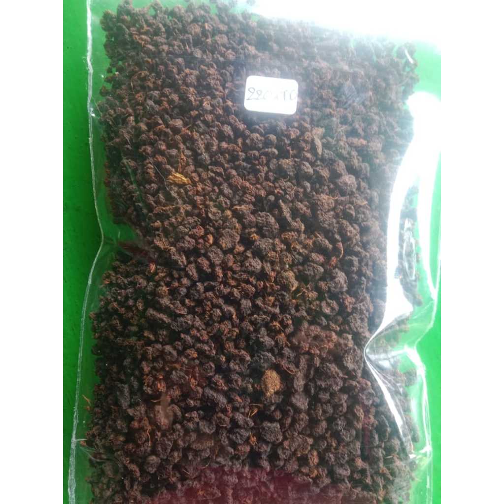 

TEH HITAM BOLD PERKEBUNAN JAMUS NGAWI