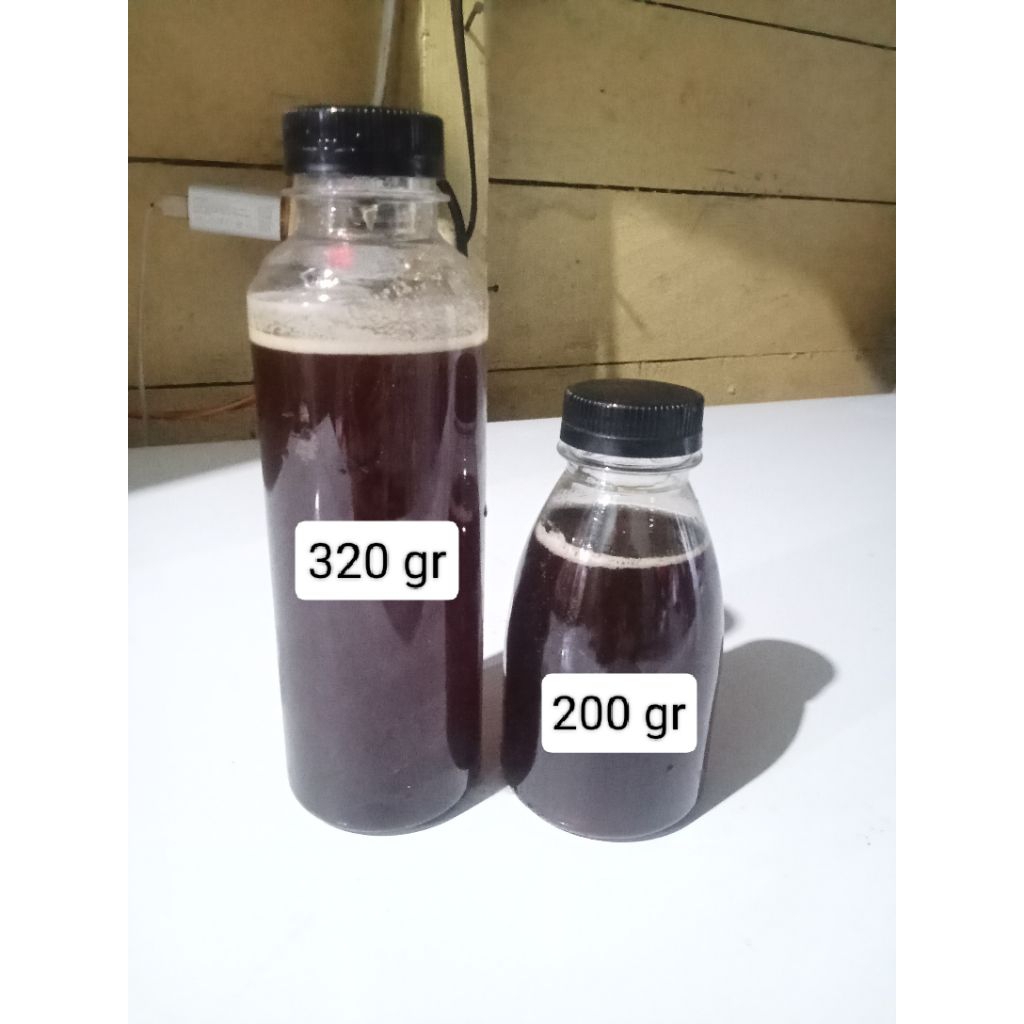 

Madu Hutan Liar Murni 200 gr Asli Jambi