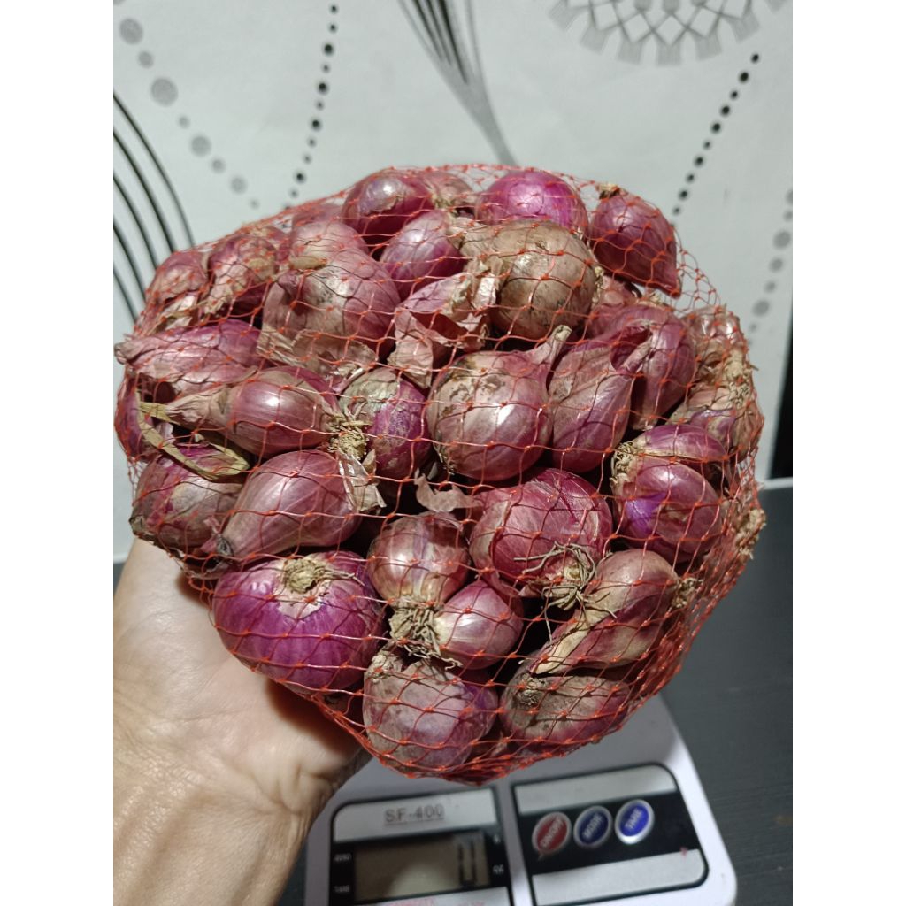 

Bawang Merah Besar Sedang Kering 500 gram