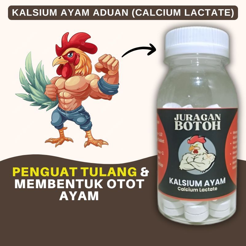Kalsium Ayam Juragan Botoh Sebagai Penguat Tulang Dan Otot Ayam Aduan