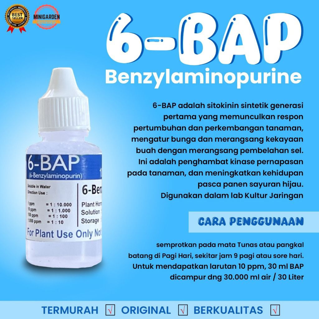Hormon 6-BAP perangsang tunas anggrek
