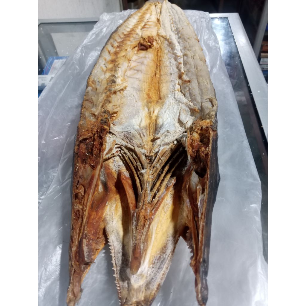 

ikan asin kering baracuda,harga tertera adalah harga per 100 g,untuk pembelian perekor tersedia mulai dari berat 300 g keatas.