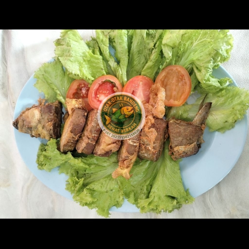 

Otak Otak Bandeng Jumbo Presto Sapit Khas Sidoarjo Vacuum
